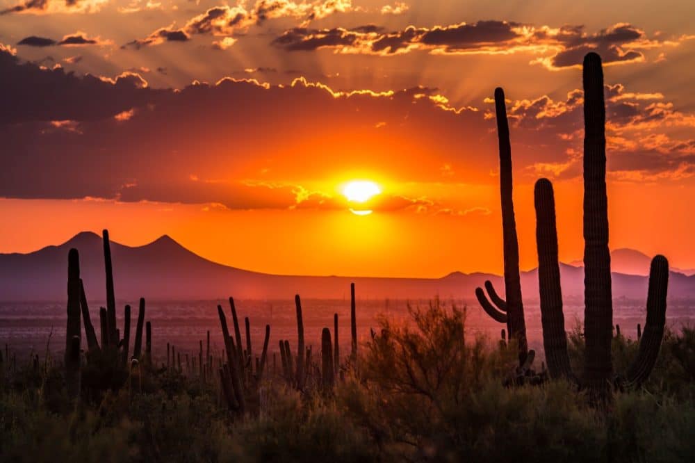 Arizona sunset