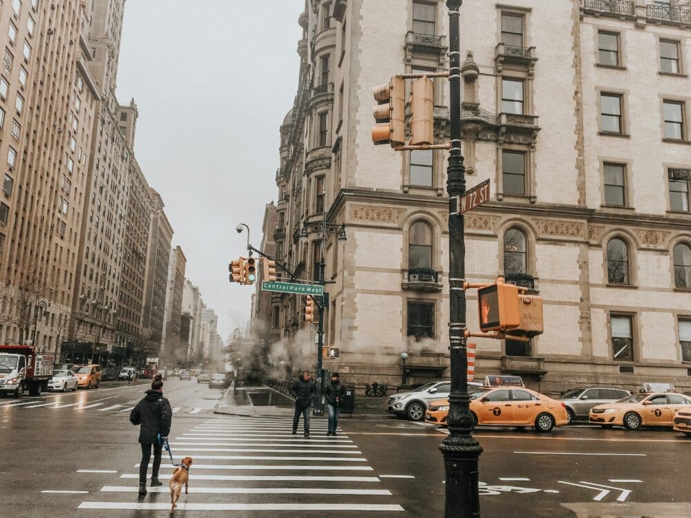 Rover dog walker making pay