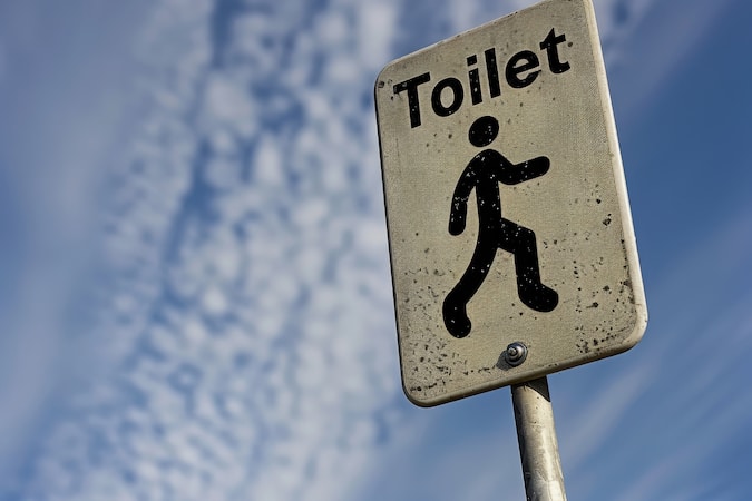 toilet